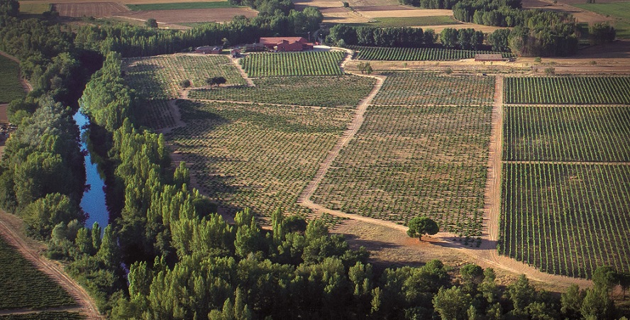 González Byass culmina su apuesta en Ribera del Duero