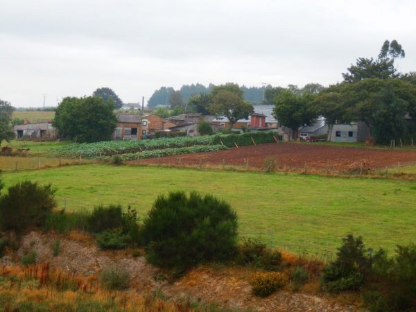 A Xesta, Galicia