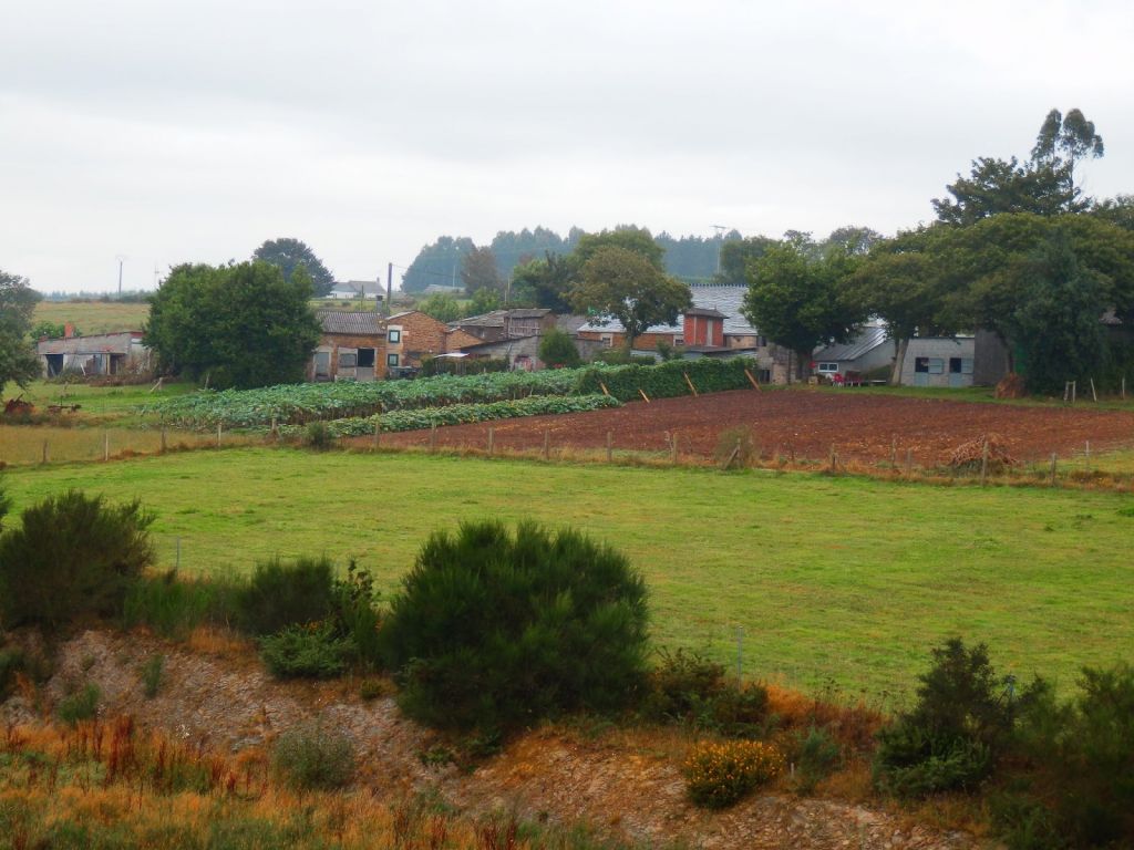 A Xesta, Galicia