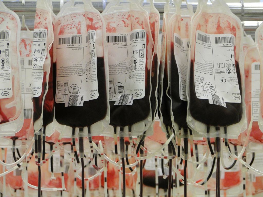 Anemia hemolítica vs anemia ferropénica: ¡las claves para entenderlas!
