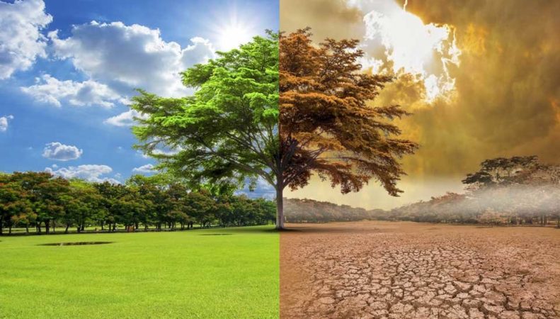 cambio climático