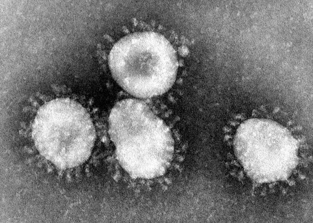 coronavirus, alerta sanitaria OMS