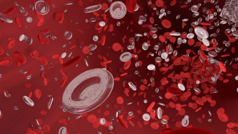 globulos rojos y anemia