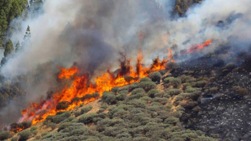 incendio por cambio climatico