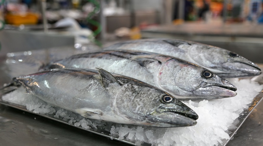Aesan y la cadena de productos pesqueros colaboraran por la seguridad alimentaria
