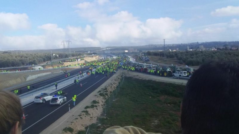 Jaén arde: así ha sido el desesperado SOS de los agricultores españoles desde dentro 1 Merca2.es protesta Merca2.es
