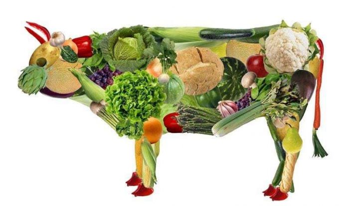 vegano, vaca hecha de vegetales