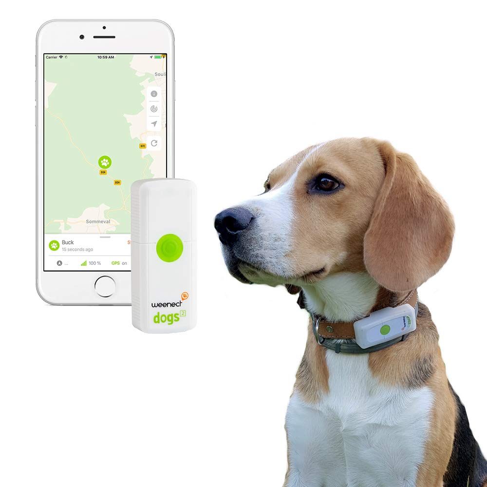 Los mejores collares GPS para tu mascota