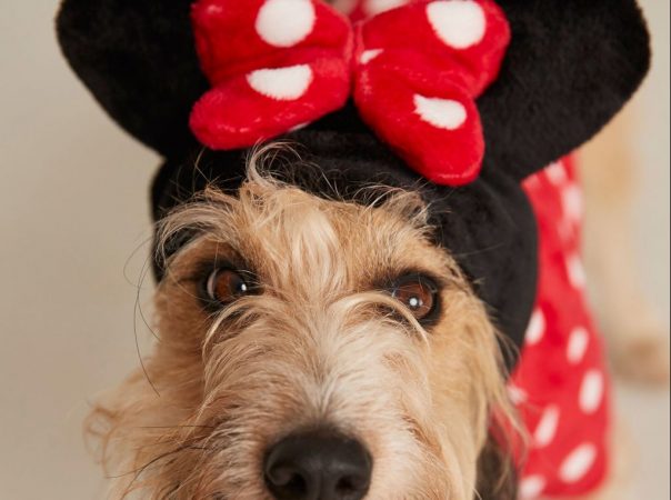 Primark Carnaval: los disfraces más divertidos y baratos 6 Merca2.es disfraz mascota