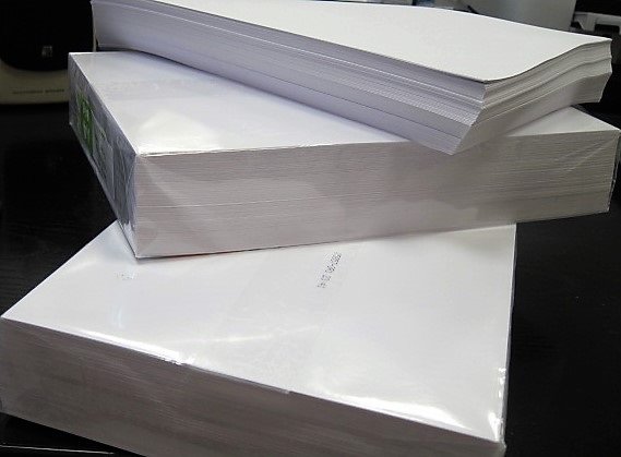 Iberpapel gana un 14% menos por la presión en el mercado de la celulosa