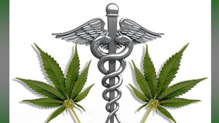 legalizacion cannabis