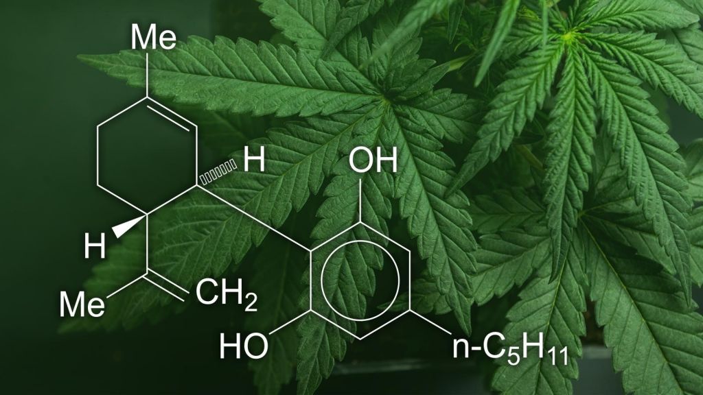 marihuana