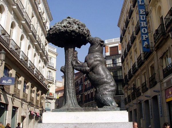 oso y madroño