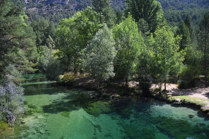 Parque Natural del Tajo