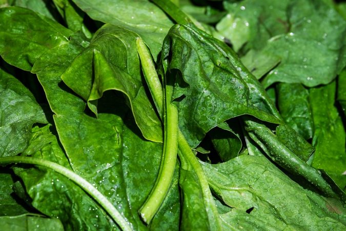 verduras hoja verde sintrom