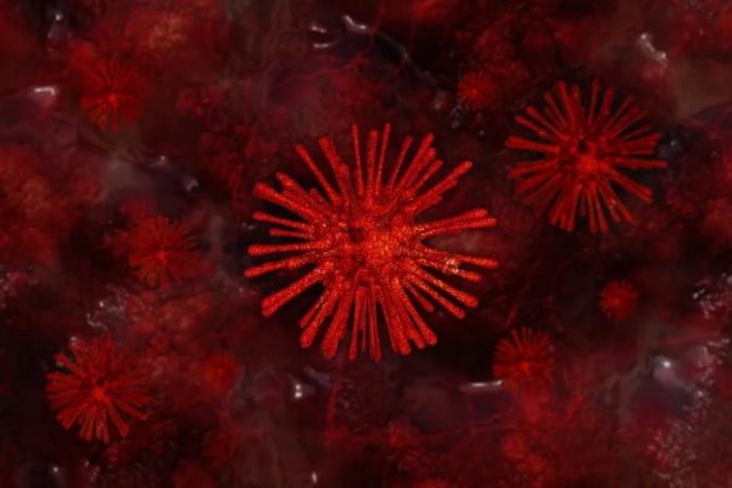 objeto mirado en microscopio