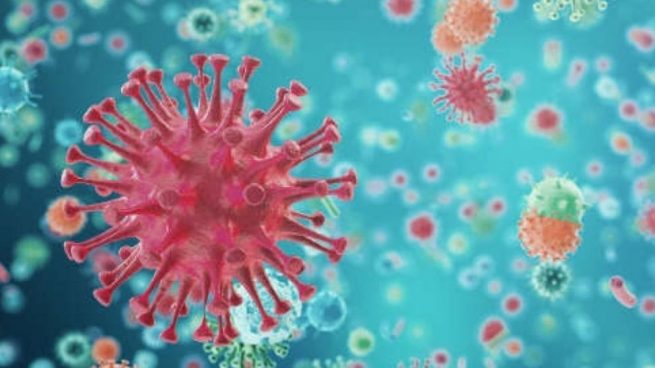 Los virus que se ocultan en los hielos de la Tierra (y que pueden acabar con la vida humana)