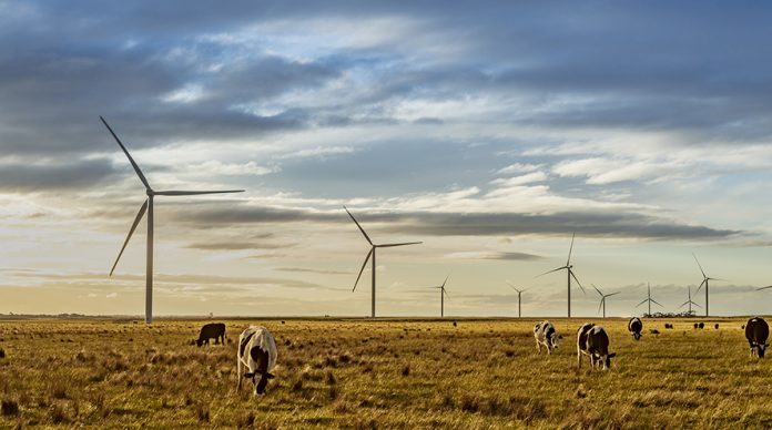 Acciona parque eólico Australia