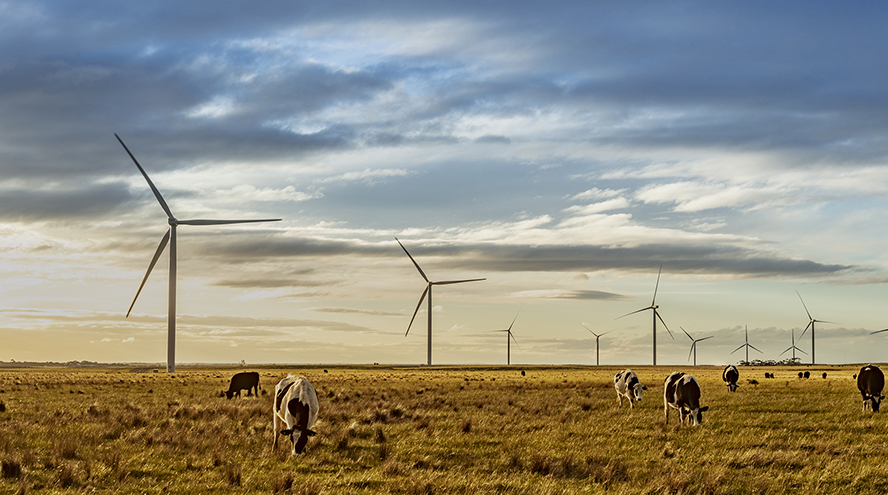 Acciona, Iberdrola y Ferrovial lideran la sostenibilidad en el Ibex