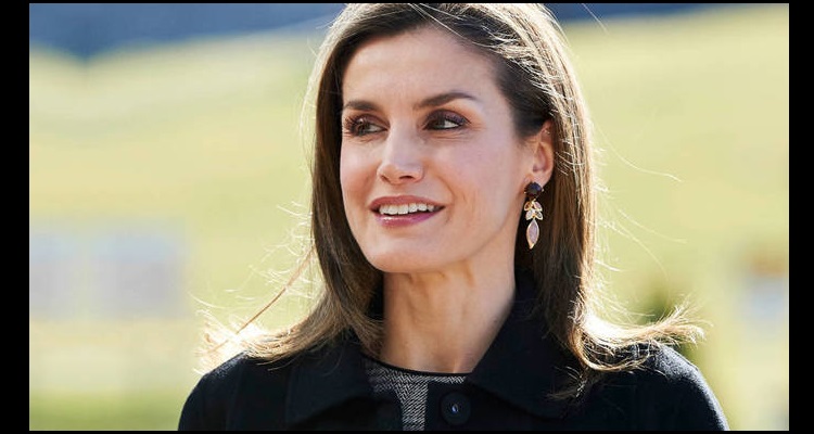 Todos los productos de Zara que compró la Reina Letizia
