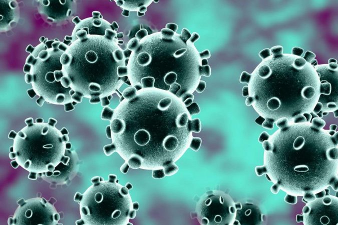 estudios coronavirus