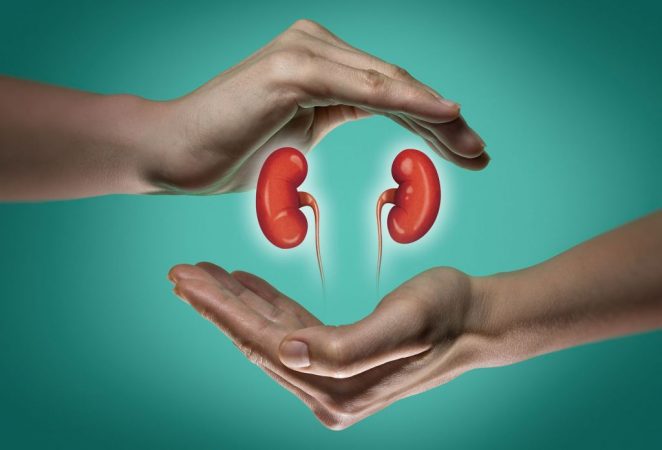 enfermedad renal