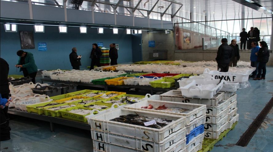 Gran actividad de la lonja Sanlúcar (Cádiz), Fecopesca advierte «es difícil»