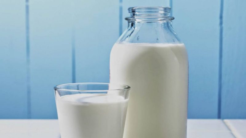 grasas leche entera