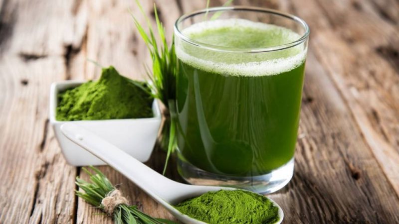 grasas espirulina
