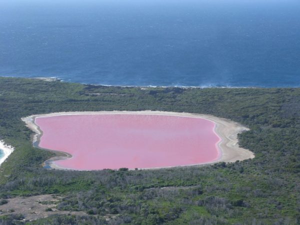 Lago rosa de Senegal