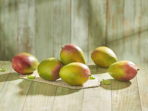 mango Lidl oferta