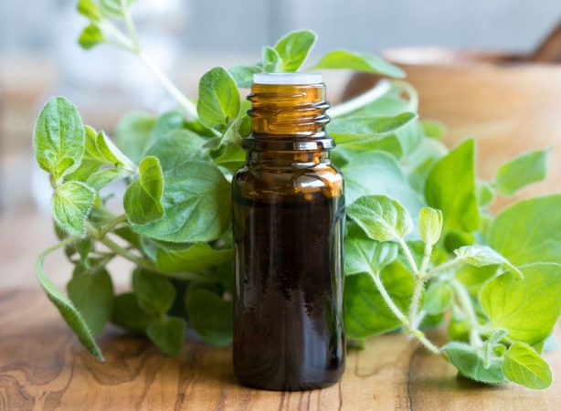 oregano oil Merca2.es