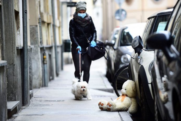 Ligar en cuarentena - pasear perro