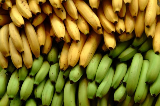 recomendaciones platanos