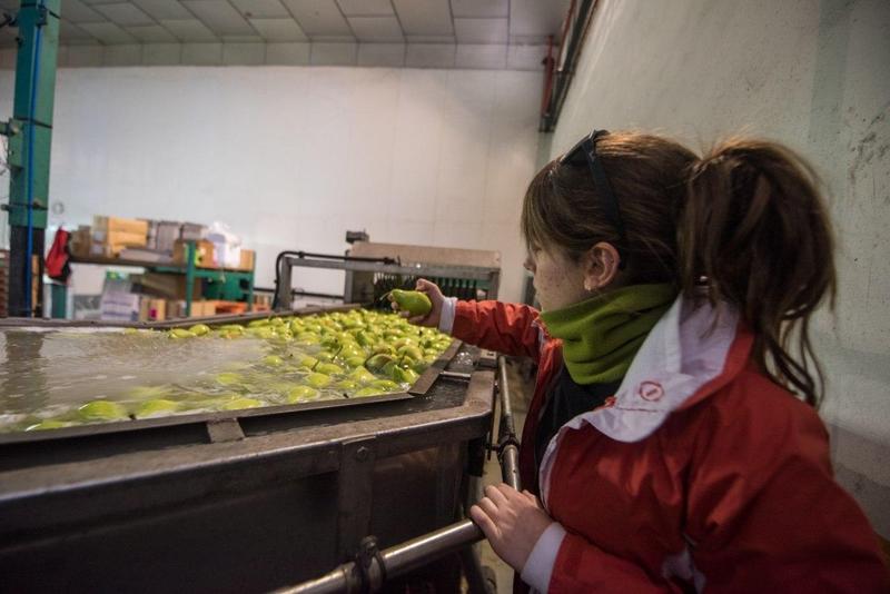 La industria alimentaria pide más apoyo de las autoridades para seguir trabajando