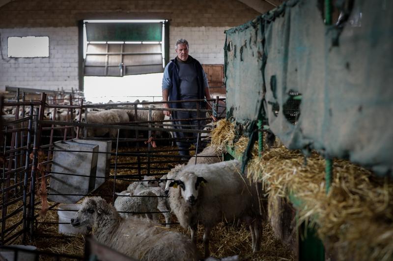 Asaja pide al Gobierno que complemente las medidas de apoyo al sector agrario adoptadas por Bruselas