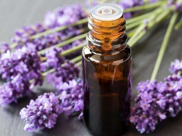 aceite lavanda