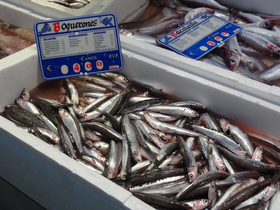 Las diferencias que existen entre una anchoa y un boquerón