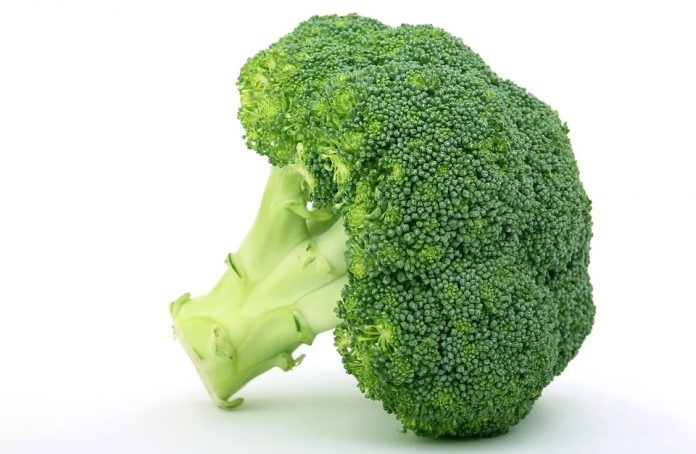 dieta antioxidantes brócoli y alimentos para prevenir el cáncer de tiroides