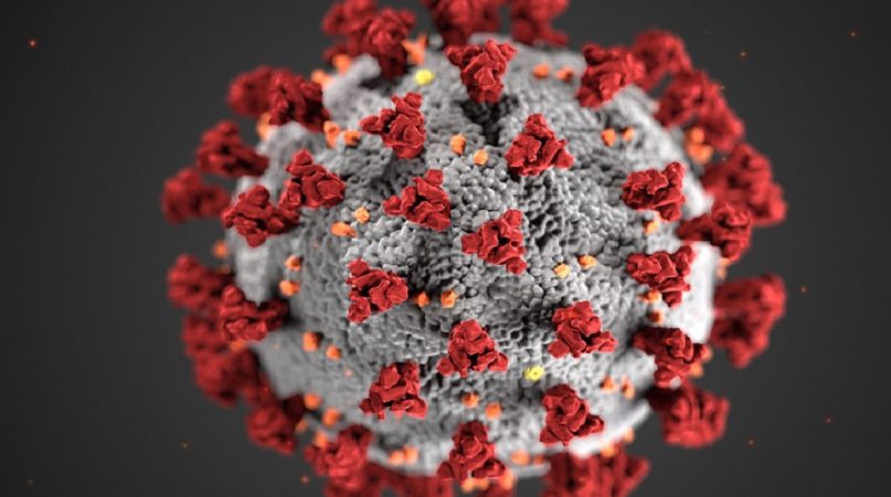 coronavirus