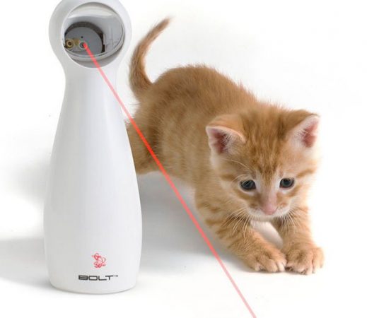 laser mascota gatos