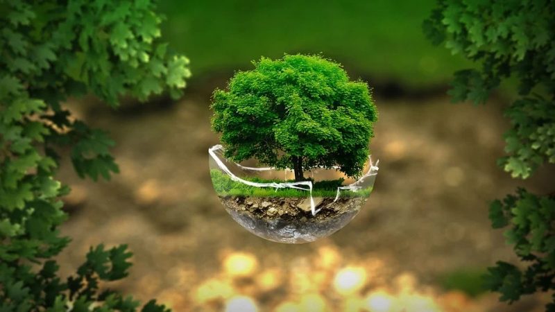 Las mejores formas de hacer de este mundo un lugar mejor 35 Merca2.es medio ambiente mundo mejor