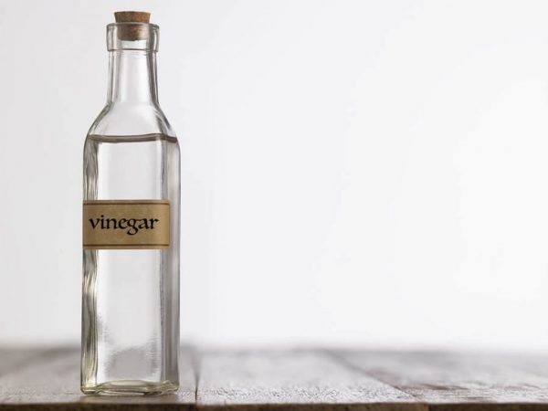 vinagre-canas