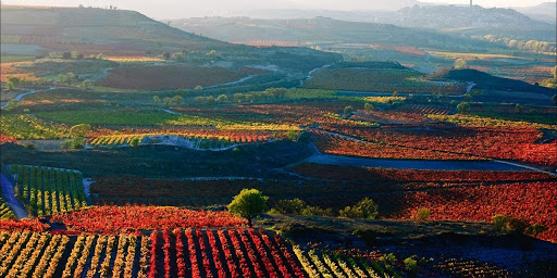 vacaciones destinos la rioja