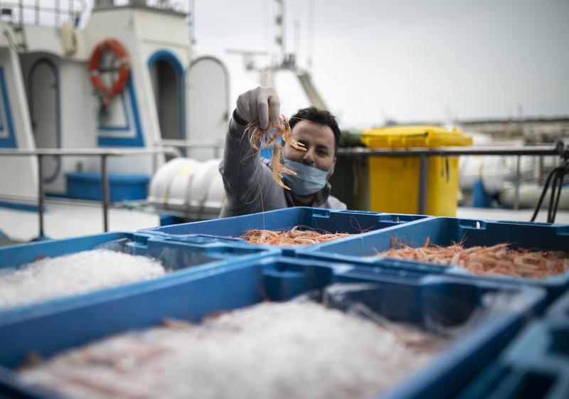 Cepes apoya a las cofradías de pescadores contra el plan de gestión de pesca del Mediterráneo