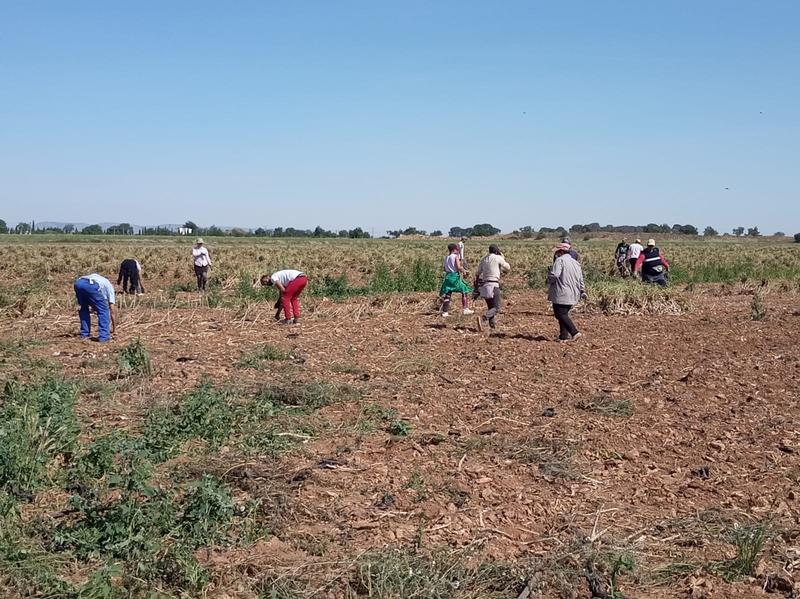 El Gobierno prórroga hasta el 30 de septiembre las medidas urgentes para el empleo agrario