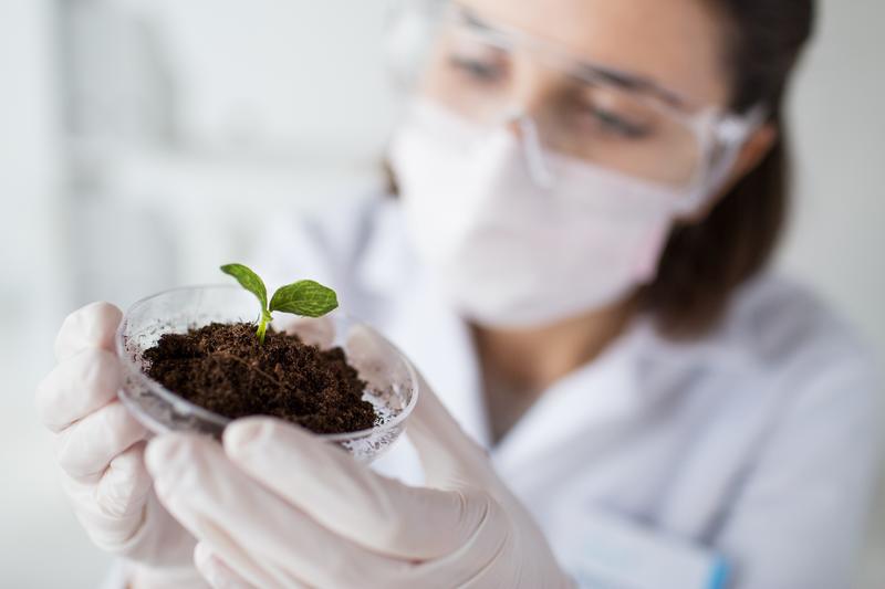 ADL Bionatur incrementa un 80% sus ventas en 2019 y fortalece sus planes de inversión