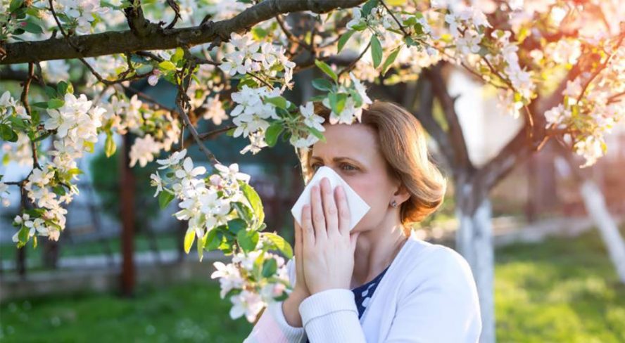¡Dichoso polen! Consejos para evitar que esta alergia te arruine el día