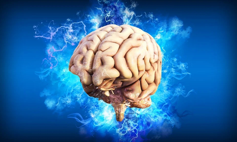 cerebro: borrar recuerdos realidad artificial