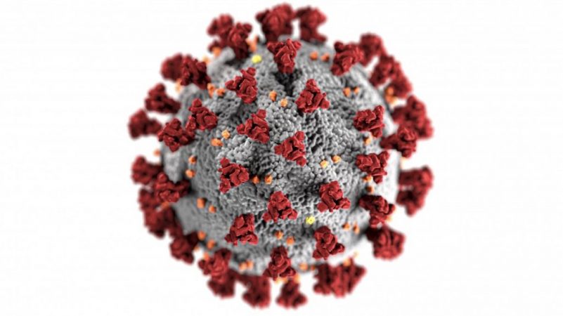 El Corte Inglés, Mercadona y Zara vs. coronavirus virus